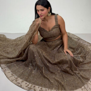 brown embroidered organza lahenga